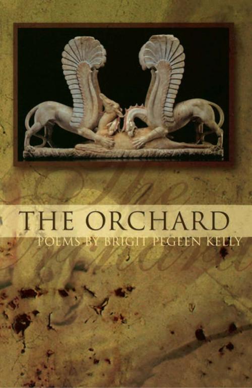 Cover of the book The Orchard by Brigit Pegeen Kelly, BOA Editions Ltd.