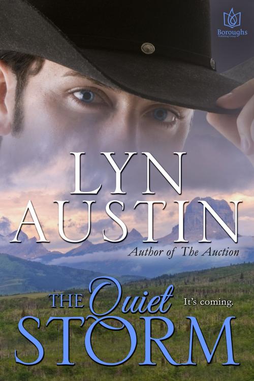 Cover of the book The Quiet Storm by Lyn Austin, Boroughs Publishing Group