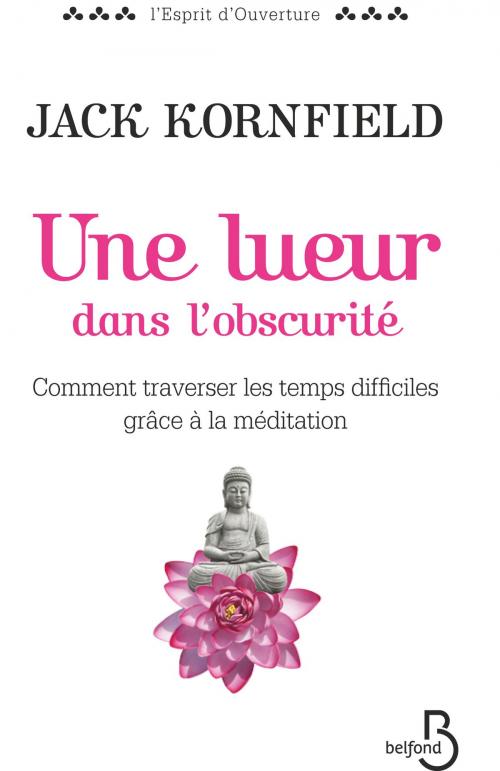 Cover of the book Une lueur dans l'obscurité by Jack KORNFIELD, Jon KABAT ZINN, Place des éditeurs