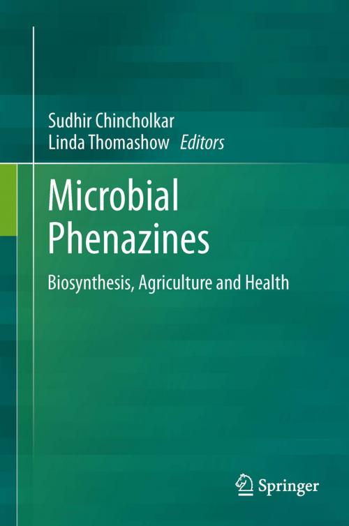 Cover of the book Microbial Phenazines by , Springer Berlin Heidelberg