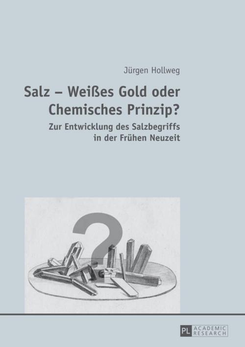 Cover of the book Salz Weißes Gold oder Chemisches Prinzip? by Jürgen Hollweg, Peter Lang