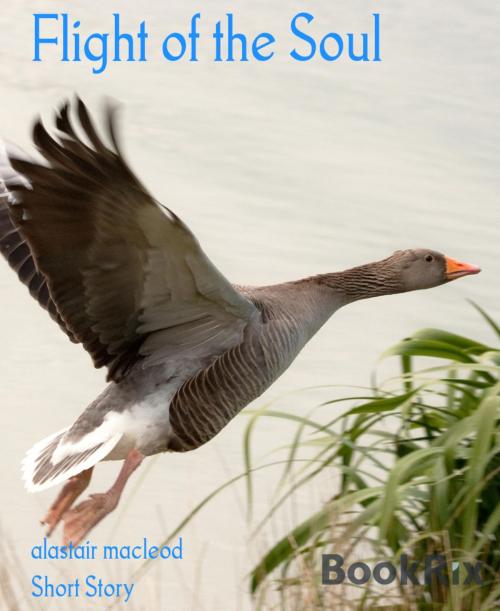 Cover of the book Flight of the Soul by alastair macleod, BookRix