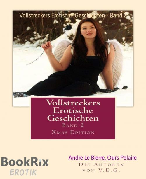 Cover of the book Vollstreckers Erotische Geschichten - Band 2 by Andre Le Bierre, Ours Polaire, BookRix
