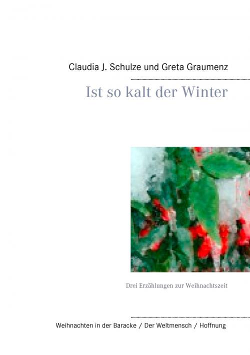 Cover of the book Ist so kalt der Winter by Claudia J. Schulze, Greta Graumenz, Books on Demand