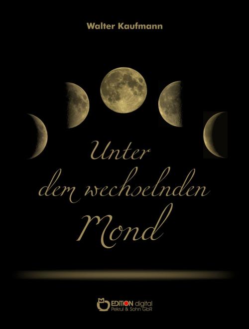 Cover of the book Unter dem wechselnden Mond by Walter Kaufmann, EDITION digital