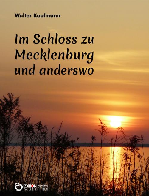 Cover of the book Im Schloss zu Mecklenburg und anderswo by Walter Kaufmann, EDITION digital