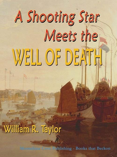 Cover of the book A Shooting Star Meets the Well of Death by William R. Taylor, XinXii-GD Publishing