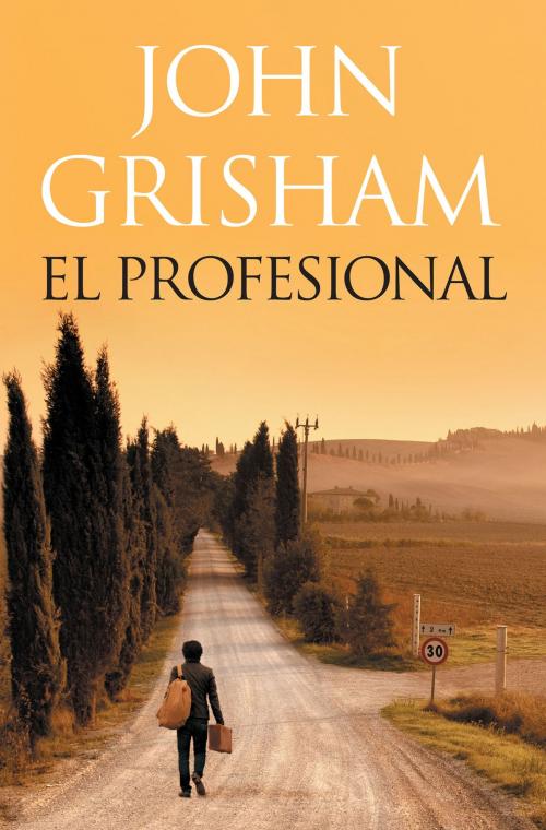 Cover of the book El profesional by John Grisham, Penguin Random House Grupo Editorial España