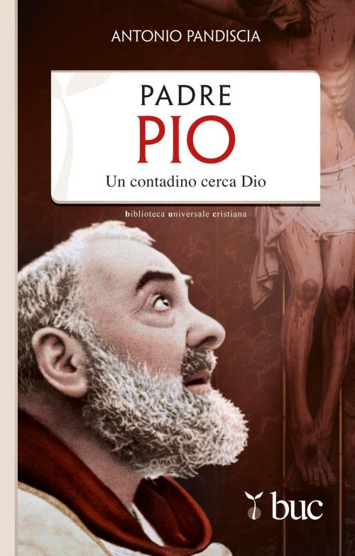 Cover of the book Padre Pio. Un contadino cerca Dio by Antonio Pandiscia, San Paolo Edizioni