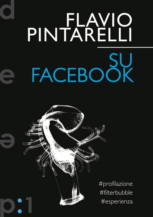 Cover of the book Su Facebook by Flavio Pintarelli, :duepunti edizioni
