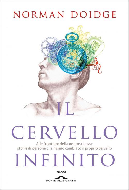 Cover of the book Il cervello infinito by Norman Doidge, Ponte alle Grazie