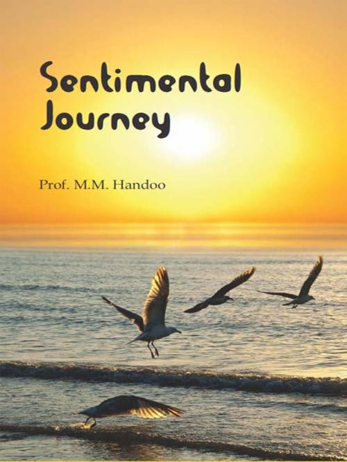 Cover of the book Sentimental Journey by Prof. M.M. Handoo, Diamond Pocket Books (P) Ltd.