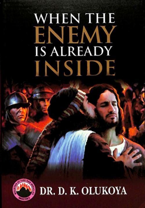 Cover of the book When the Enemy is Already Inside by Dr. D. K. Olukoya, Mountain of Fire and Miracles Ministries