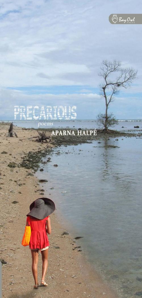 Cover of the book Precarious by Aparna Halpé, We Green Solutions