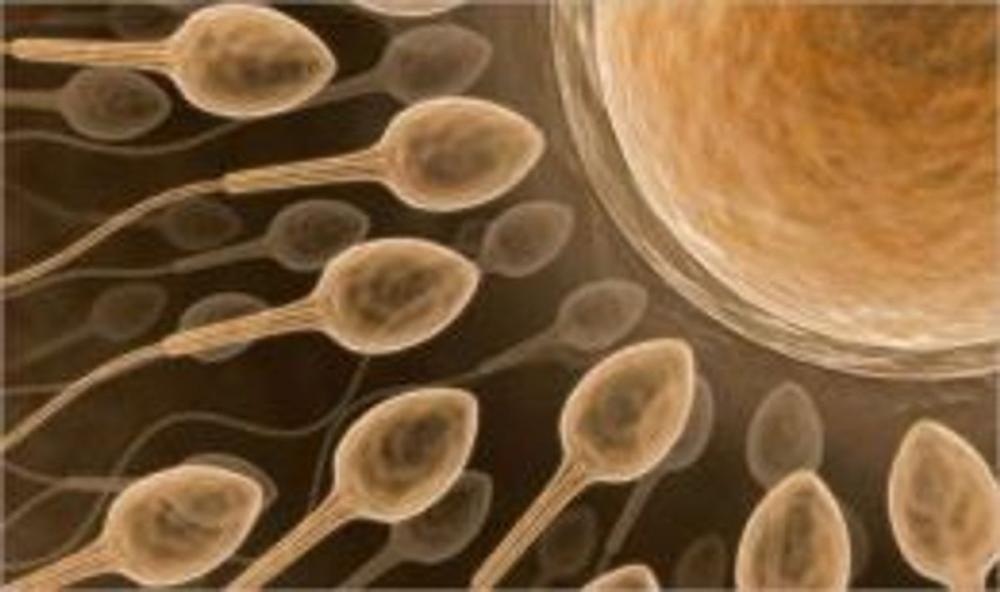Big bigCover of A Crash Course on Donating Sperm