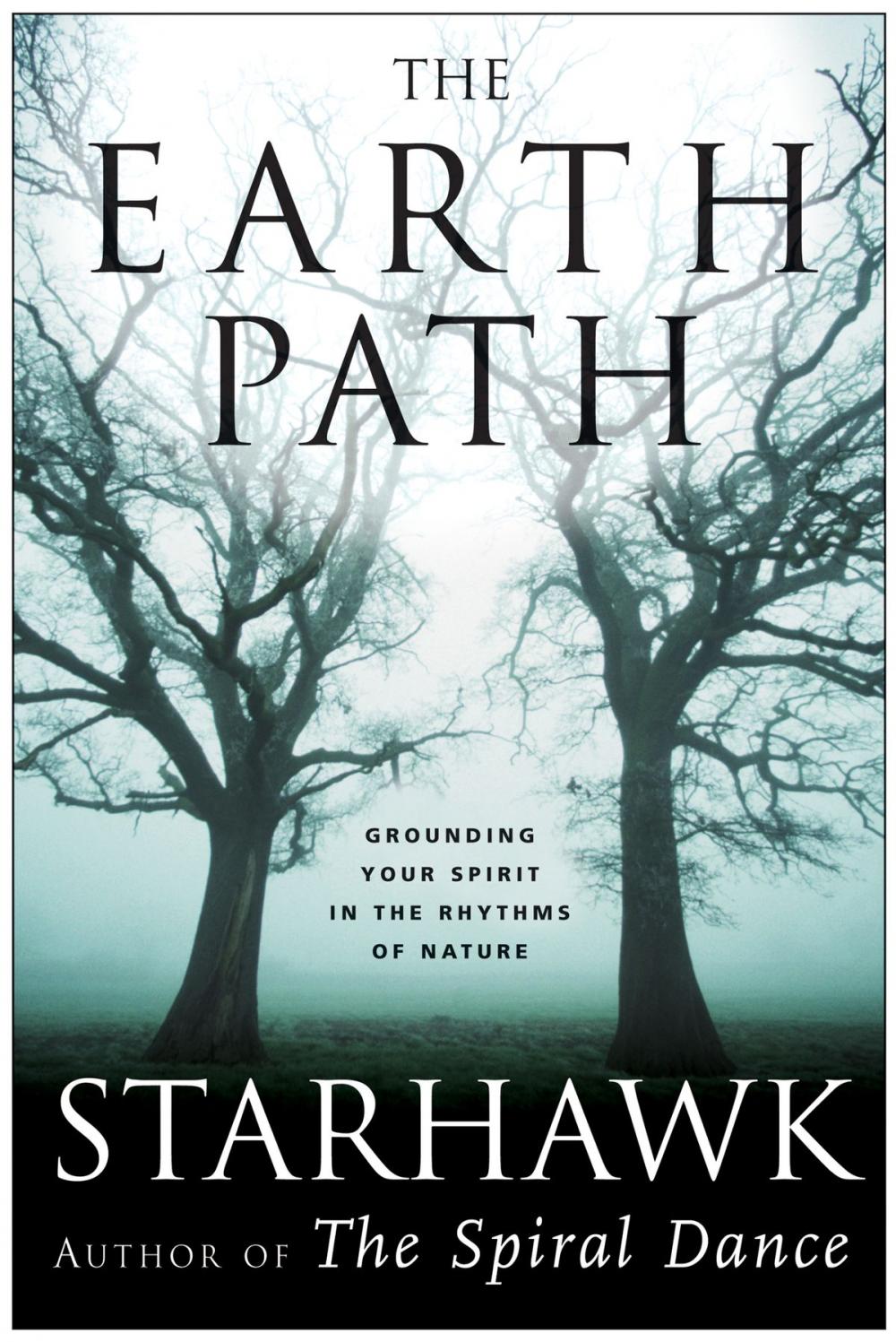 Big bigCover of The Earth Path