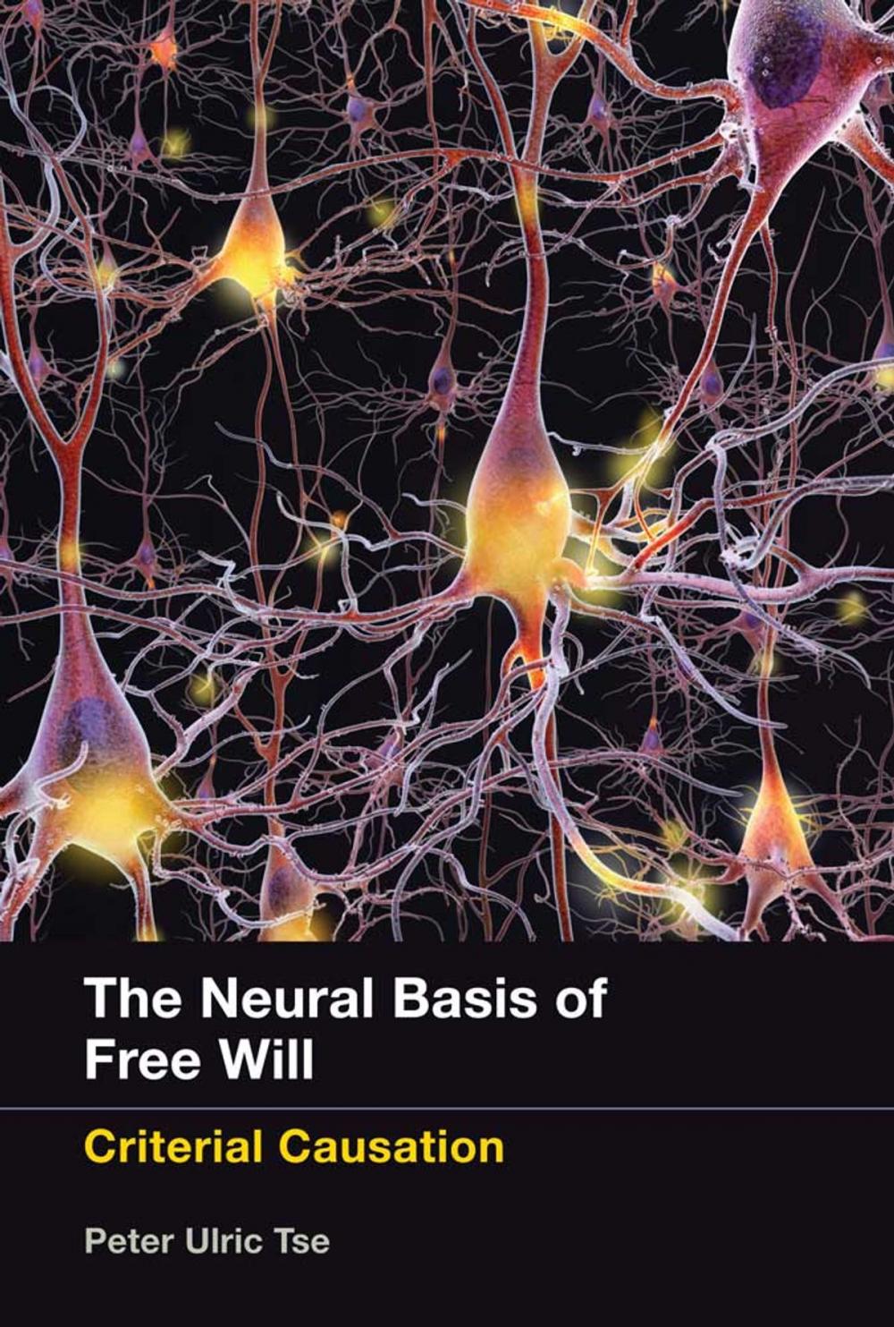 Big bigCover of The Neural Basis of Free Will