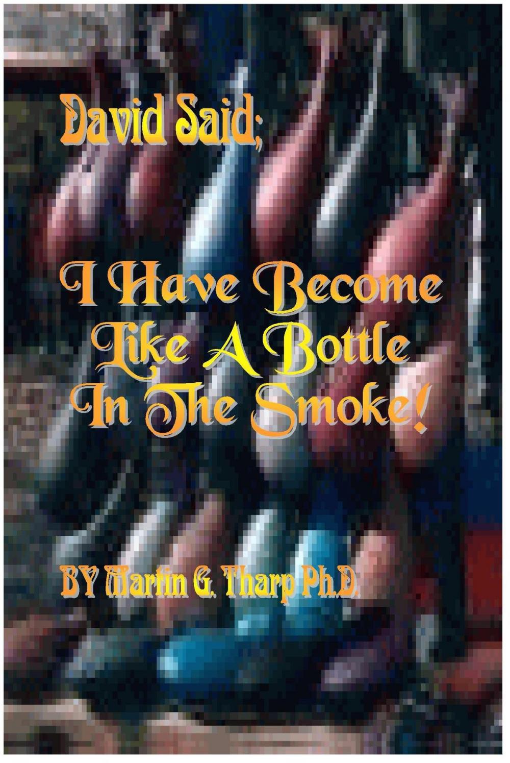 Big bigCover of David Said, "I Have Become like a Bottle in the Smoke."