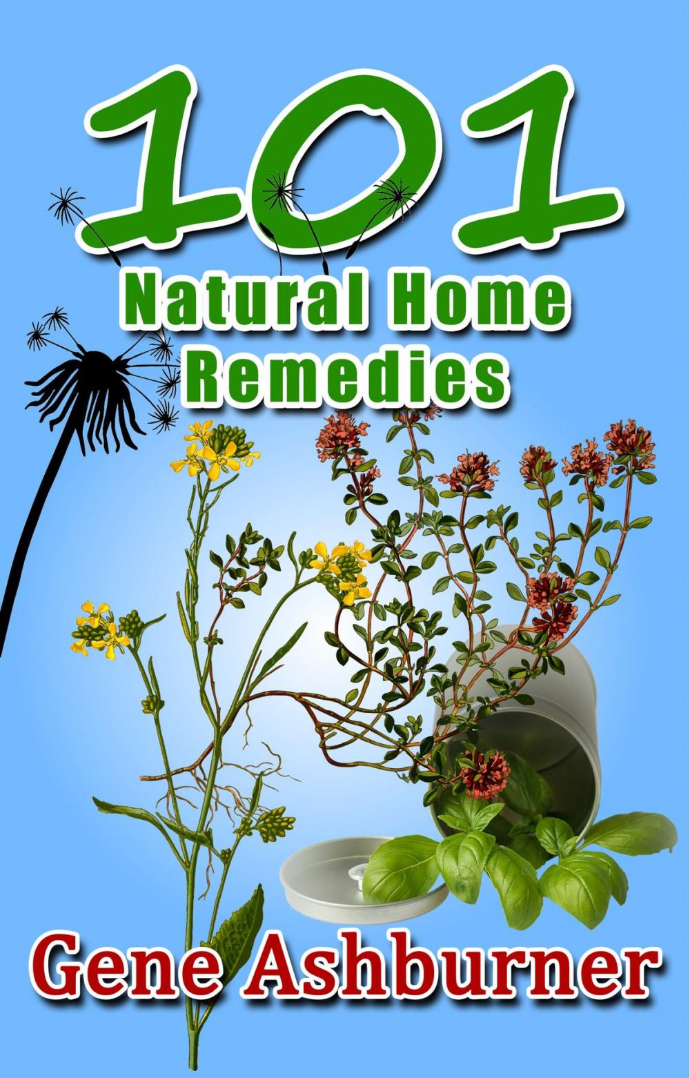 Big bigCover of 101 Natural Home Remedies