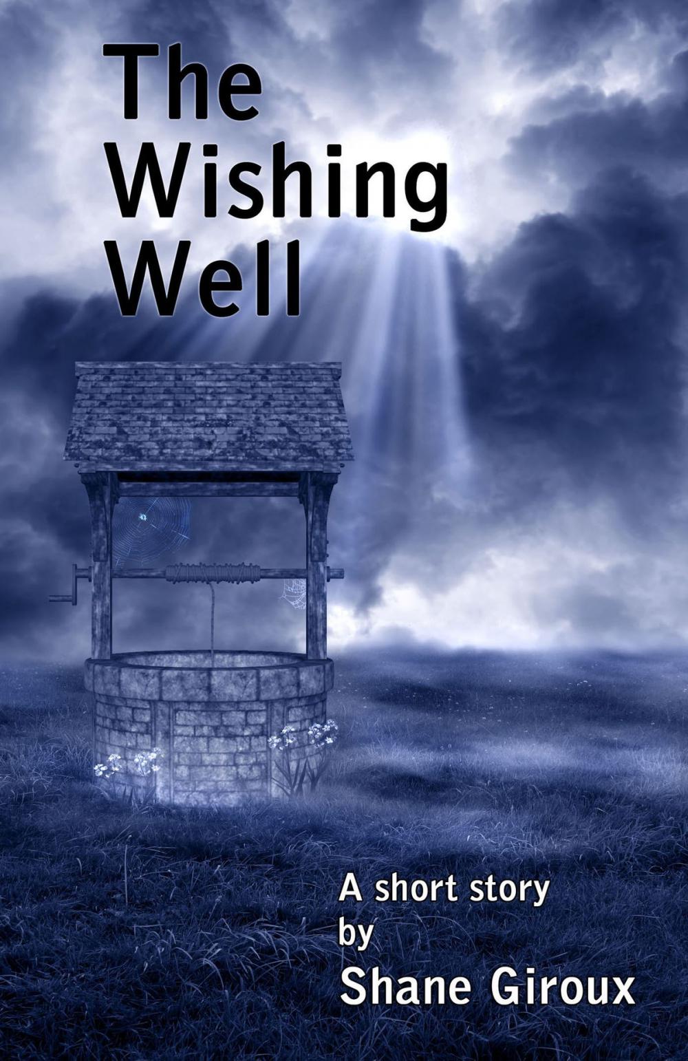 Big bigCover of The Wishing Well
