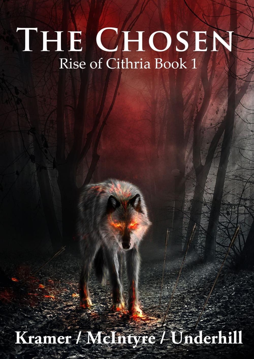 Big bigCover of The Chosen: Rise of Cithria Part 1
