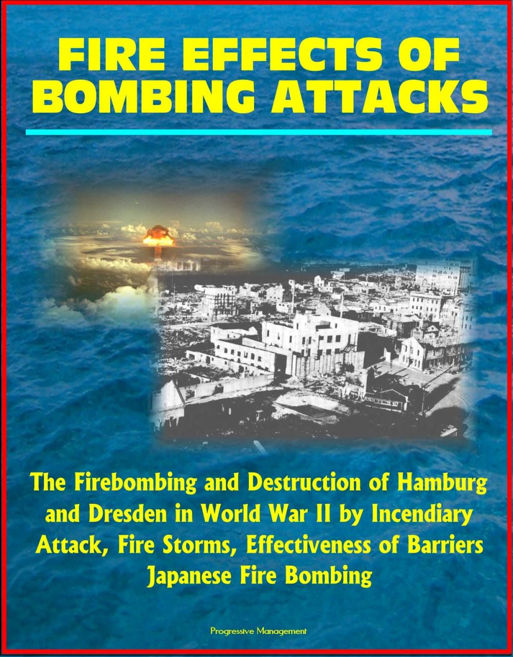 Big bigCover of Fire Effects of Bombing Attacks: The Firebombing and Destruction of Hamburg and Dresden in World War II by Incendiary Attack, Fire Storms, Effectiveness of Barriers, Japanese Fire Bombing
