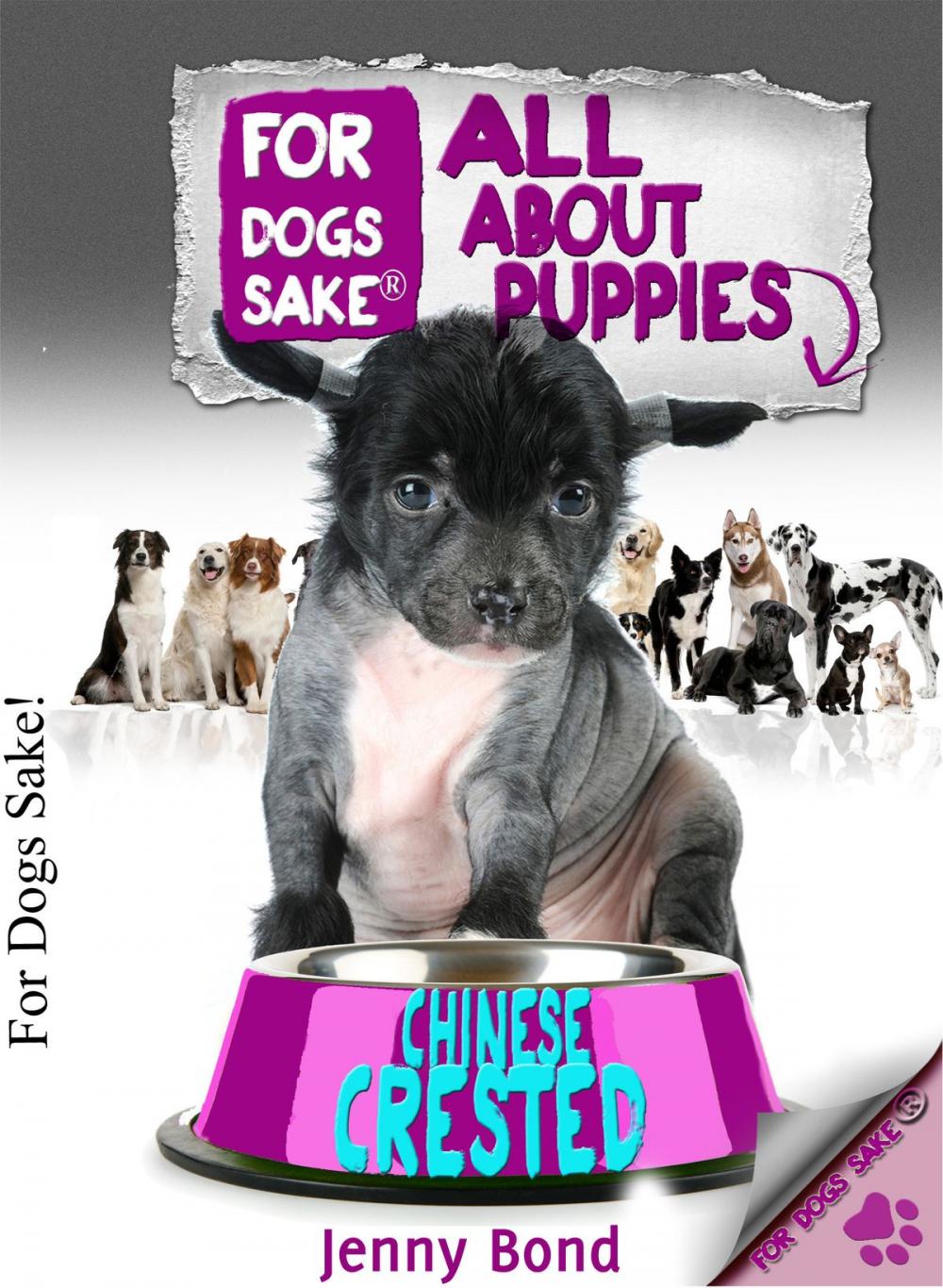 Big bigCover of All About Chinese Crested Puppies