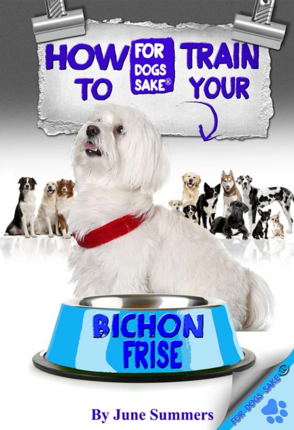 Big bigCover of How to Train Your Bichon Frise