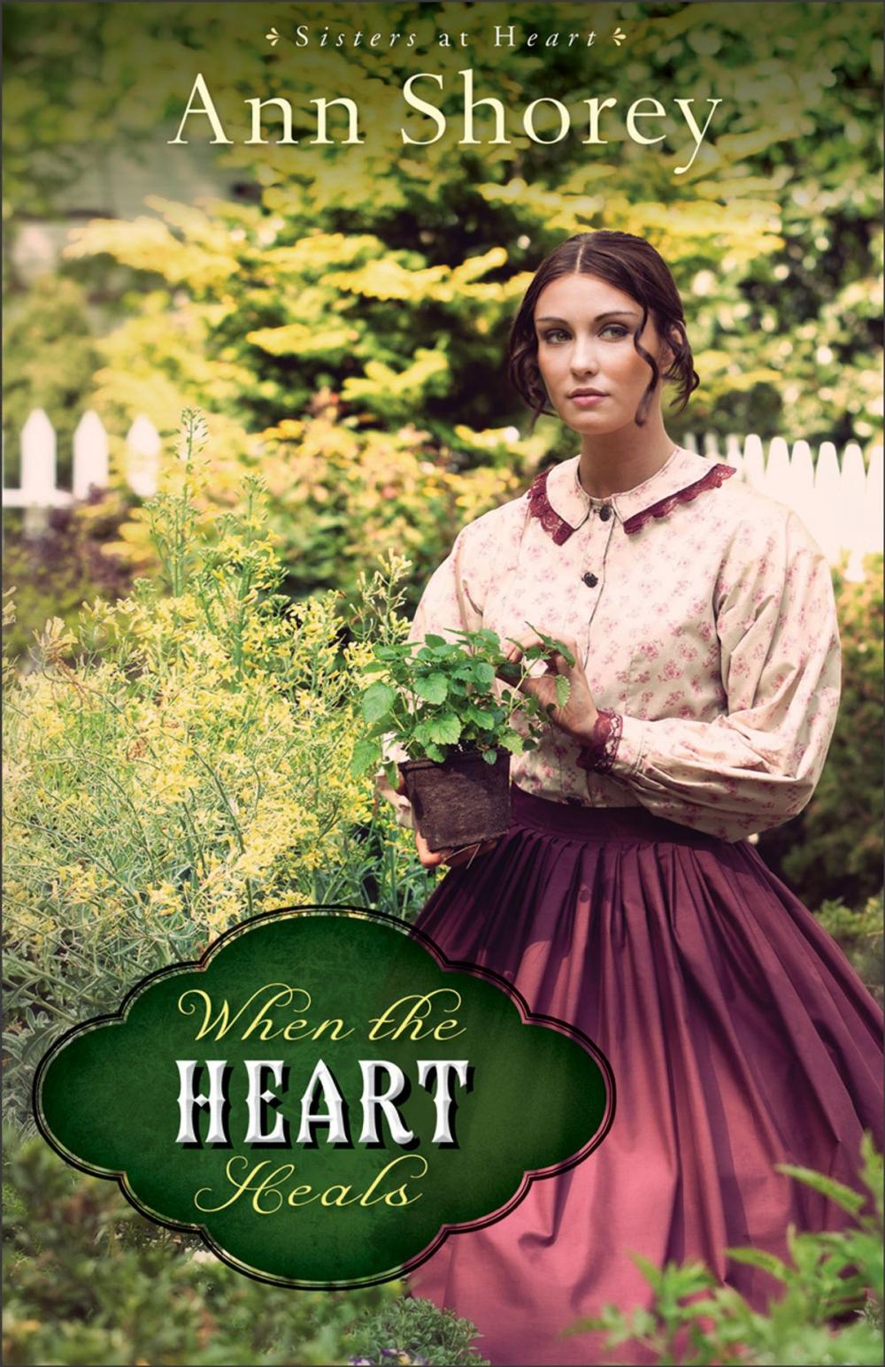 Big bigCover of When the Heart Heals (Sisters at Heart Book #2)