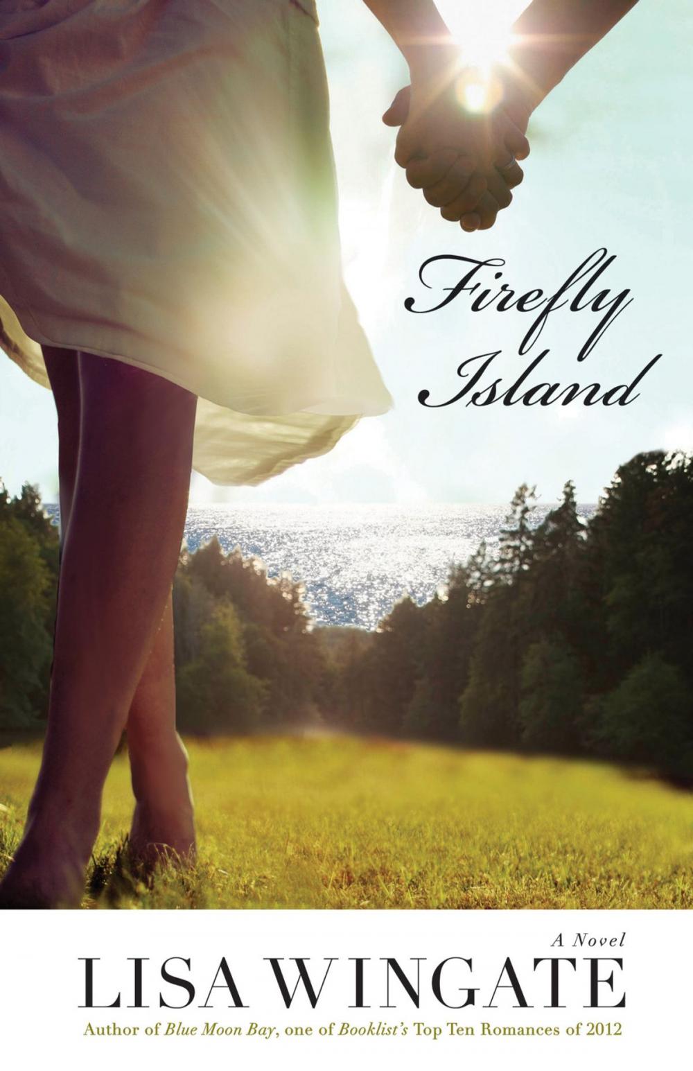 Big bigCover of Firefly Island (The Shores of Moses Lake Book #3)