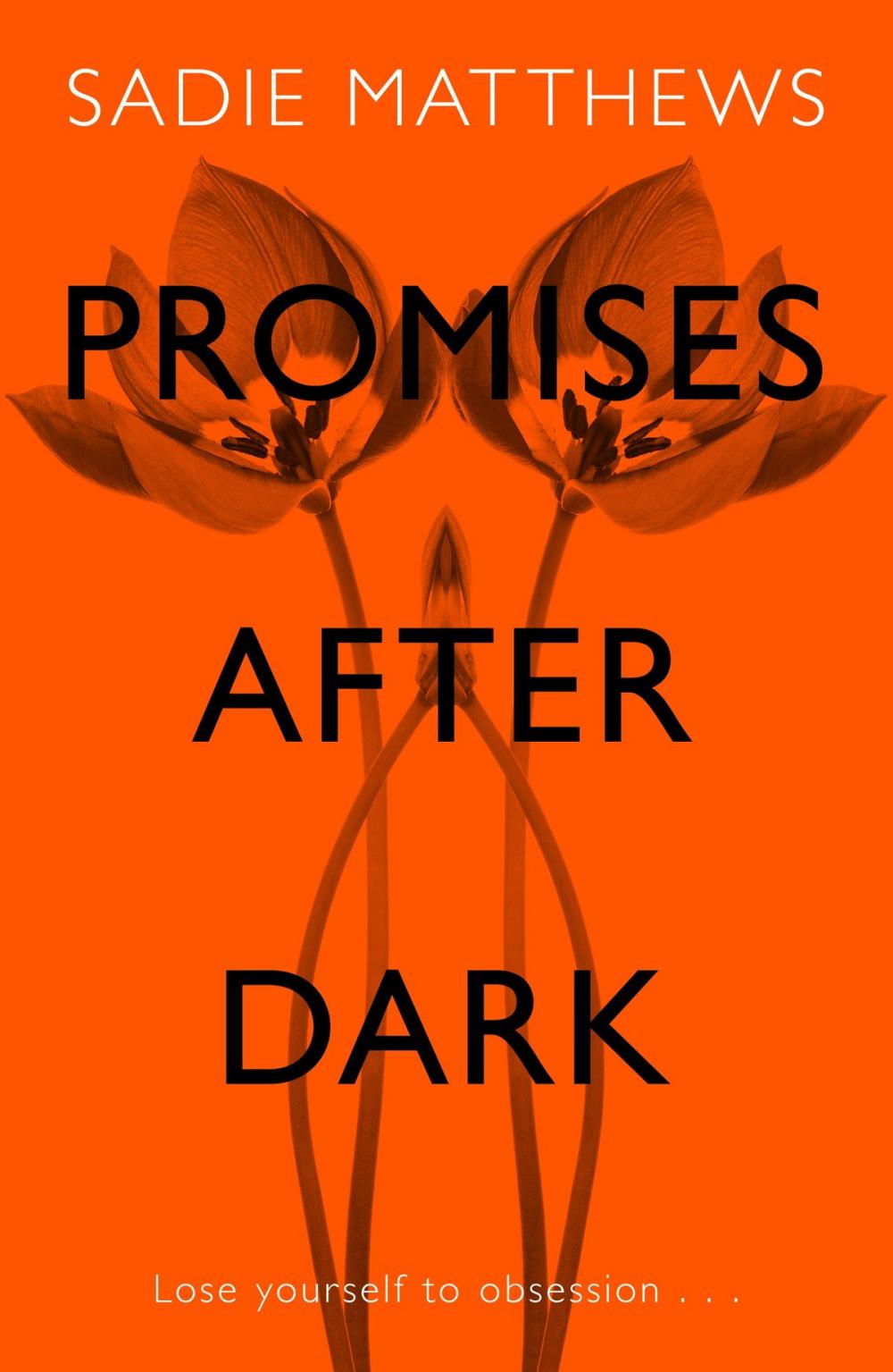 Big bigCover of Promises After Dark