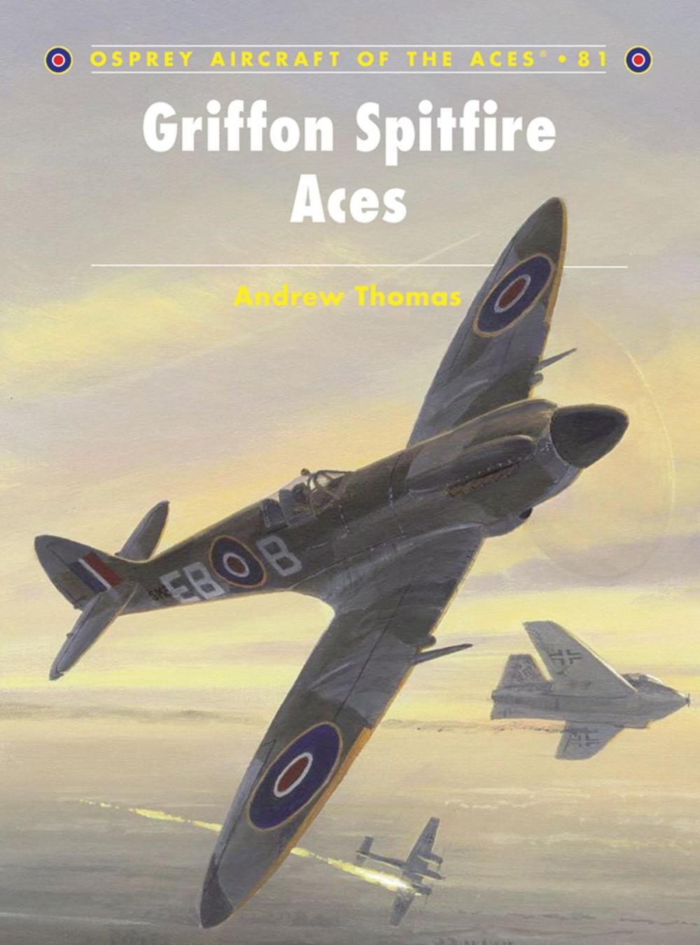 Big bigCover of Griffon Spitfire Aces