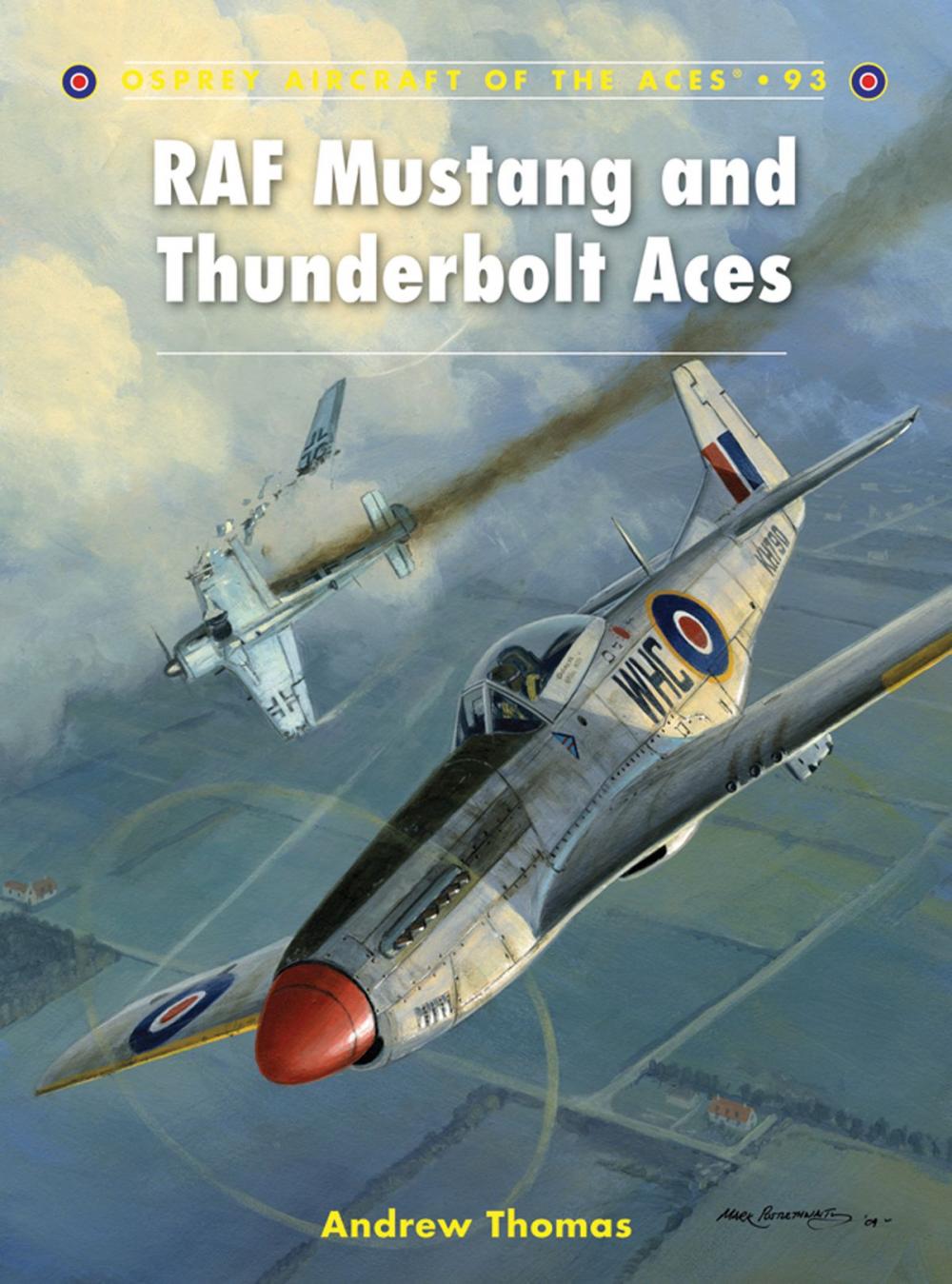 Big bigCover of RAF Mustang and Thunderbolt Aces