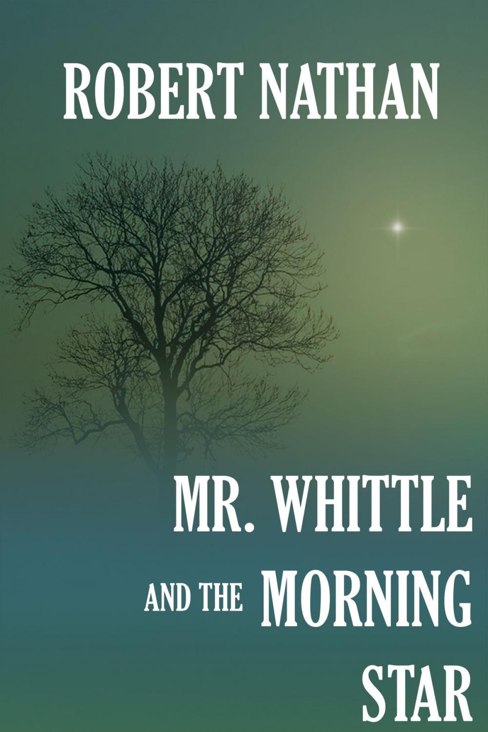 Big bigCover of Mr. Whittle and the Morning Star