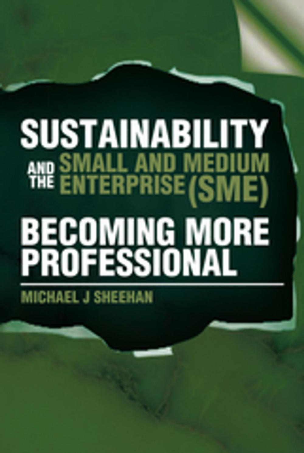 Big bigCover of Sustainability and the Small and Medium Enterprise (Sme): Becoming More Professional