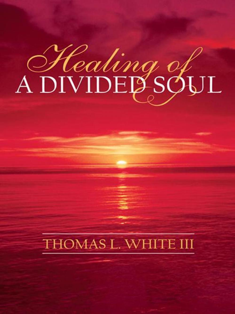 Big bigCover of Healing of a Divided Soul