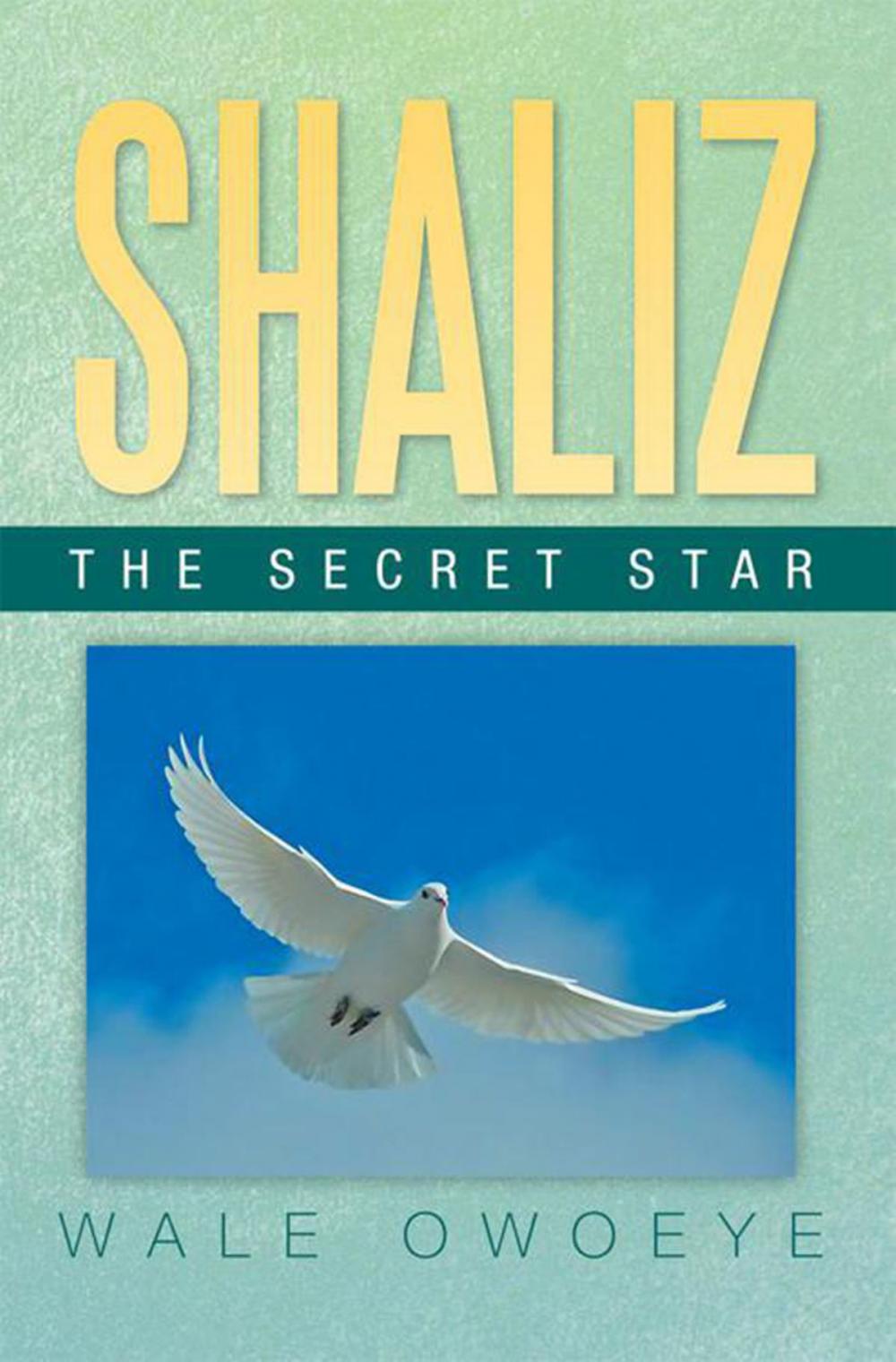 Big bigCover of Shaliz - the Secret Star