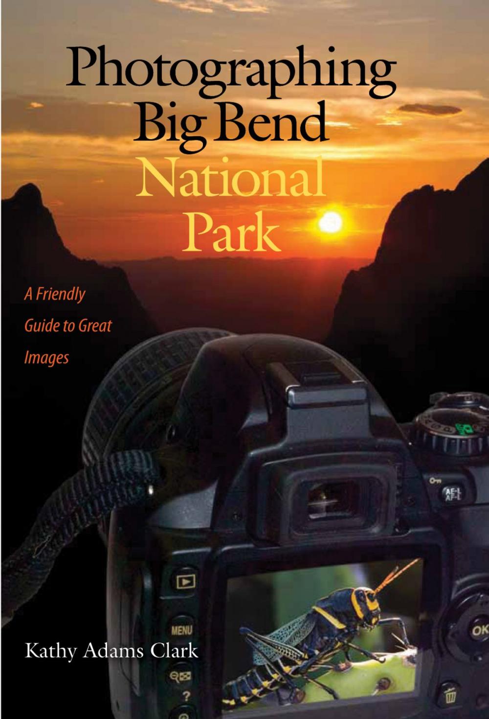 Big bigCover of Photographing Big Bend National Park