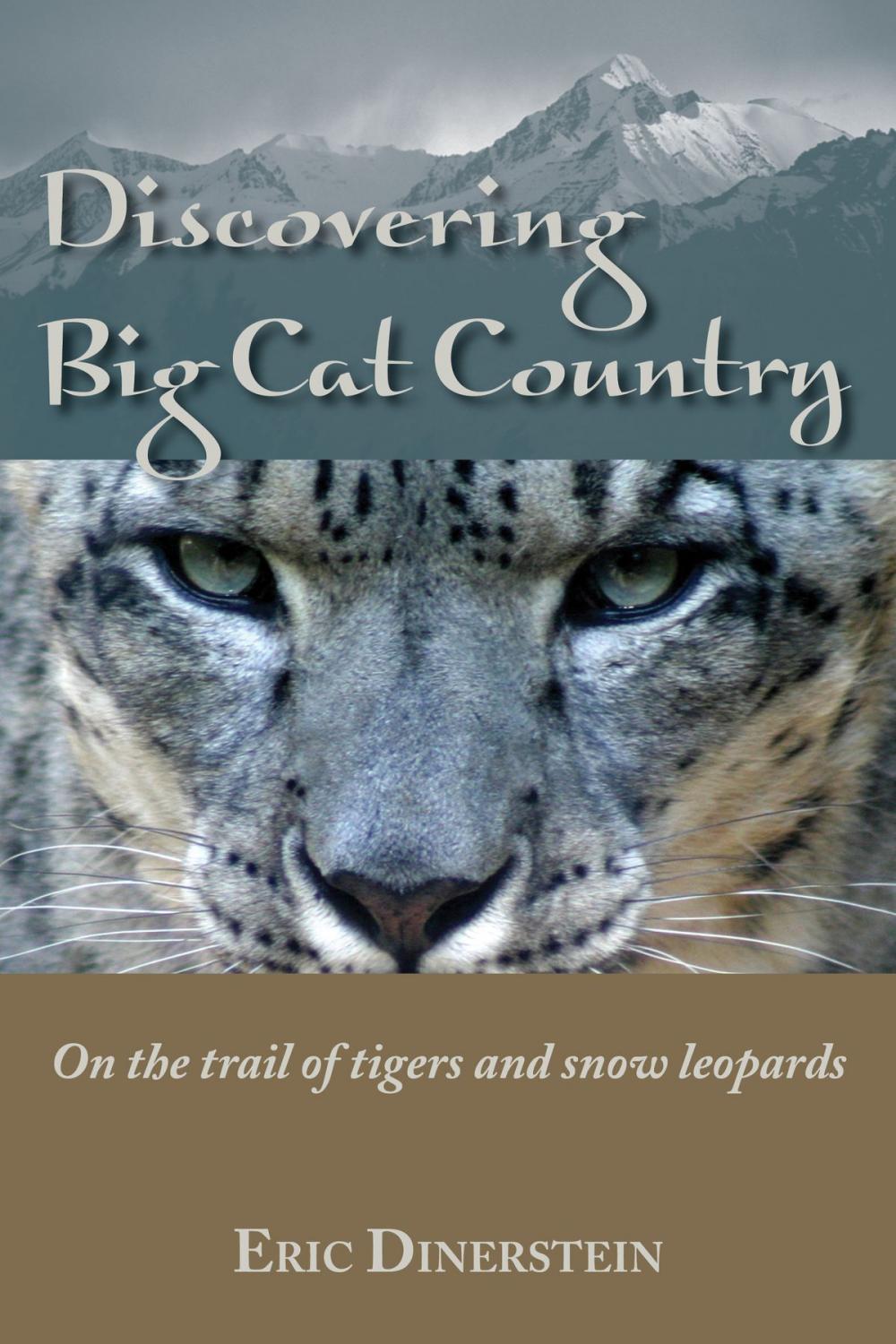 Big bigCover of Discovering Big Cat Country