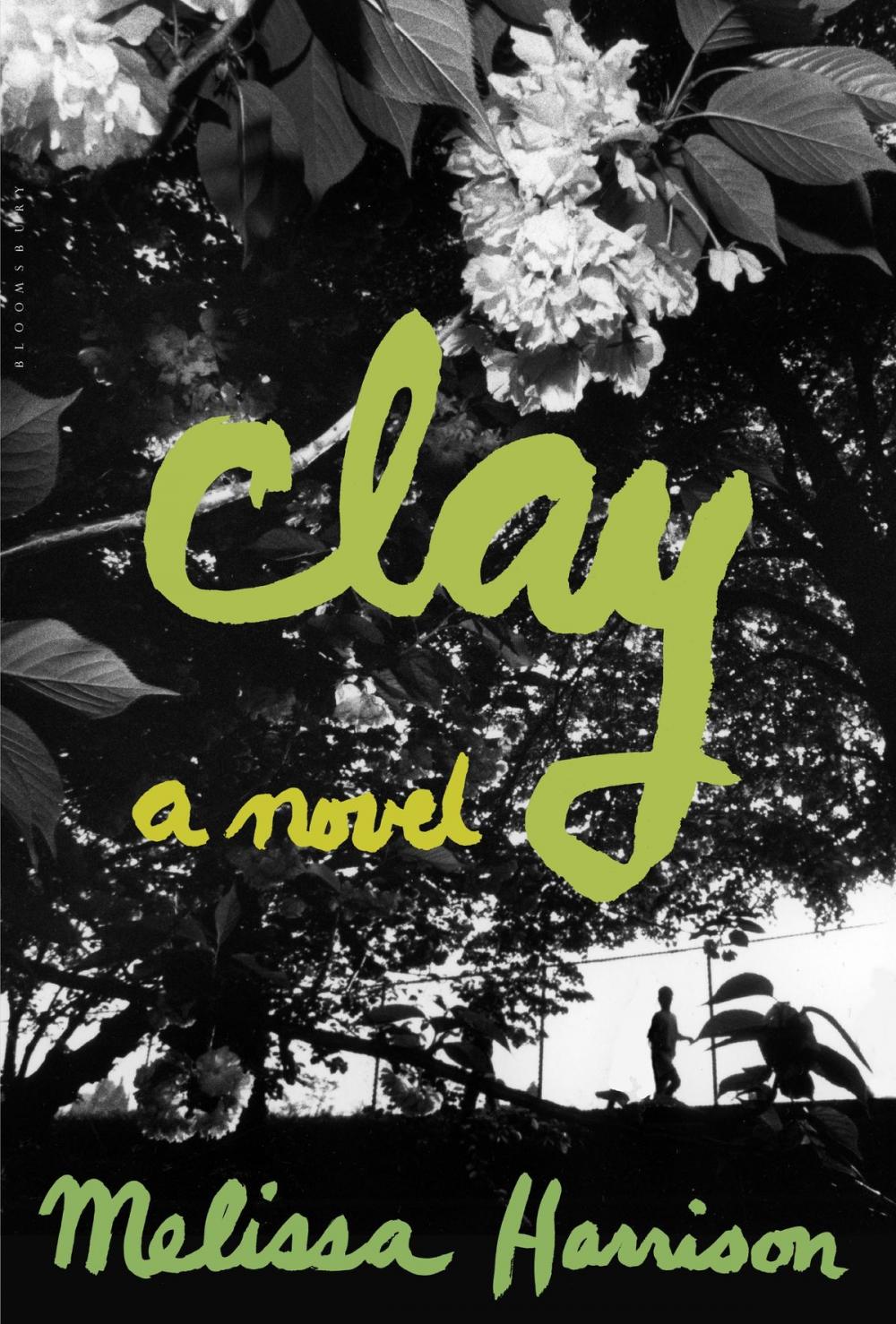 Big bigCover of Clay