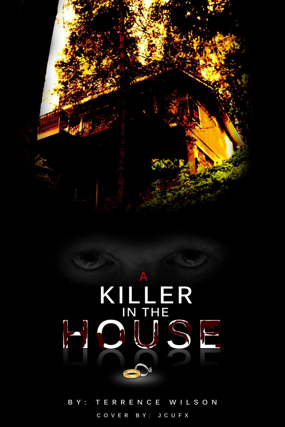 Big bigCover of A Killer In The House