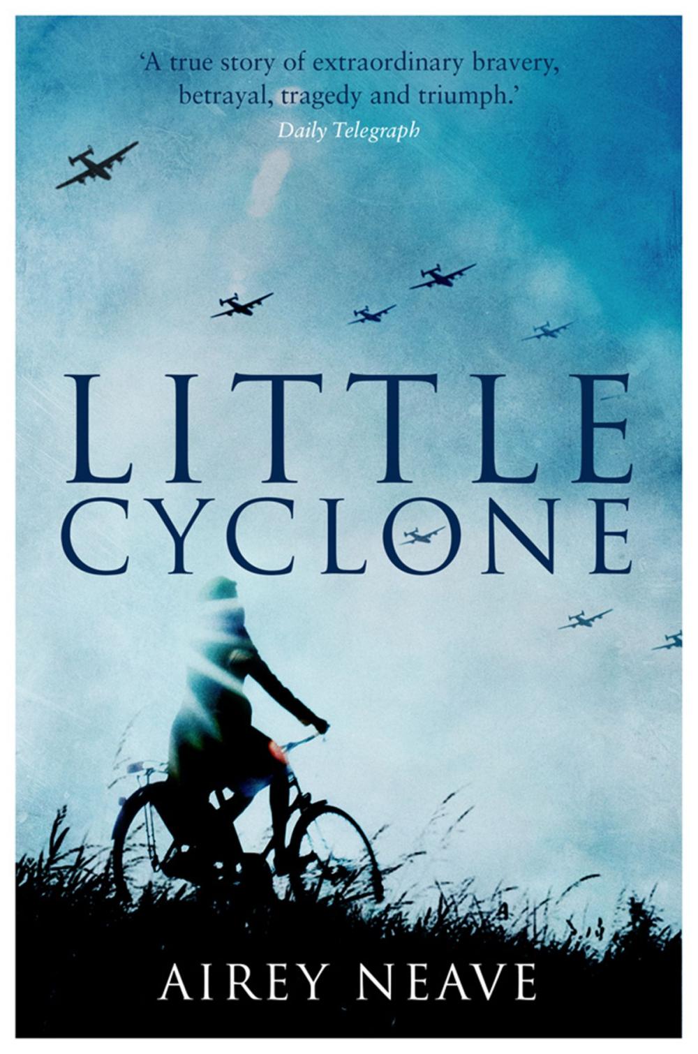 Big bigCover of Little Cyclone