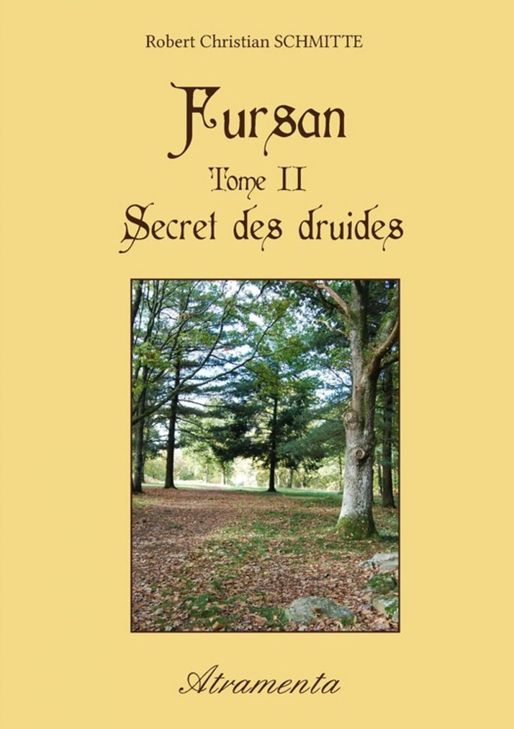 Big bigCover of Fursan - Tome II - Secret des druides