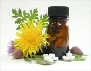 Cover of A Beginners Guide to Homeopathy