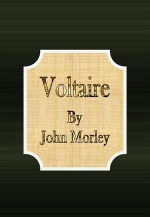 Cover of the book Voltaire by Lina Eckenstein