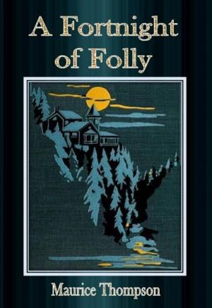 Cover of the book A Fortnight of Folly by Maurice Leblanc