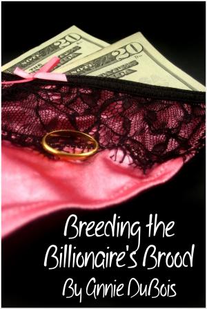 Cover of the book Breeding the Billionaire's Brood by Lily Nibs