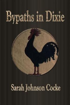 Cover of the book Bypaths in Dixie by Lina Eckenstein