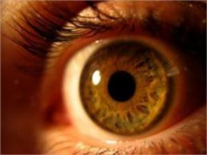 Cover of A Crash Course on Diabetic Retinopathy: Symptoms, Causes, Treatments and more