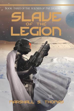 Cover of the book Slave of the Legion by Rebecca Main